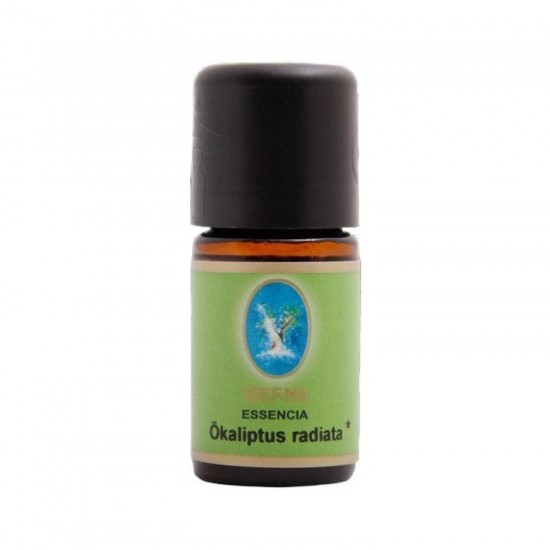 Okaliptus radiata - Organik 5 ml.